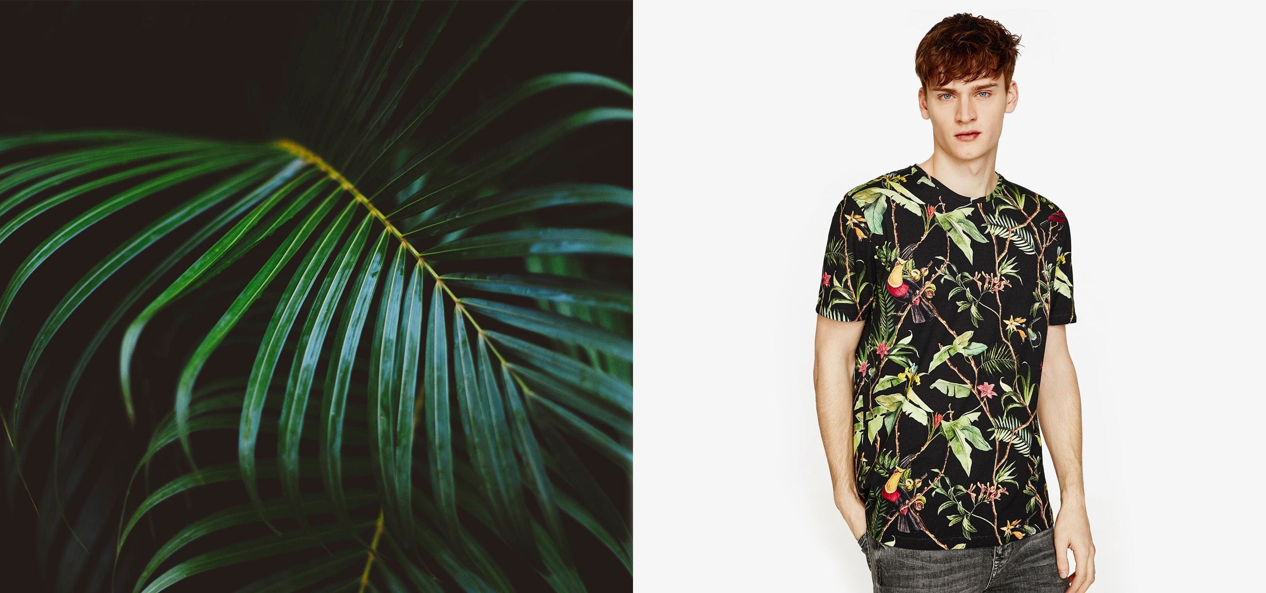 fashion-split.jpg